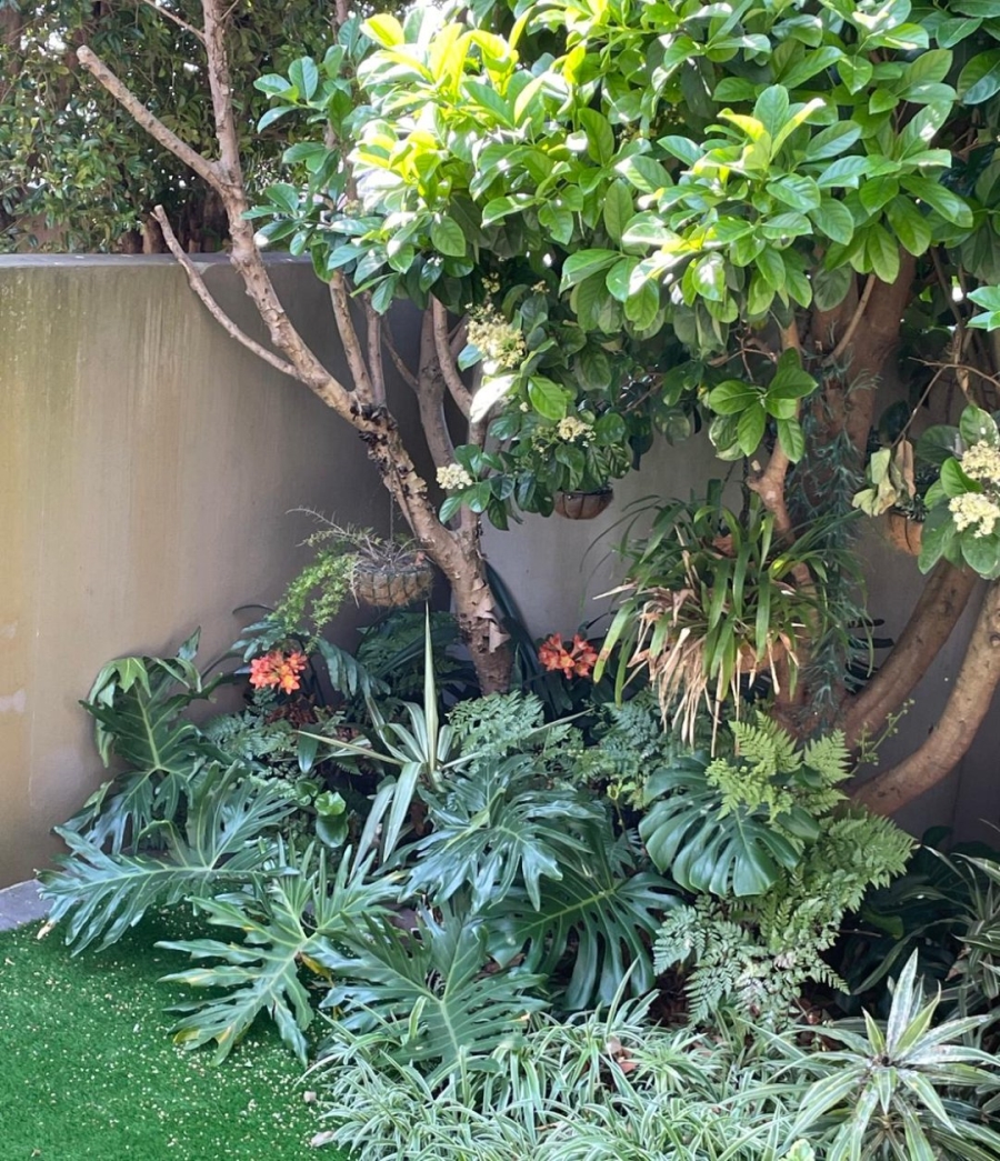 2 Bedroom Property for Sale in Sherwood Eastern Cape